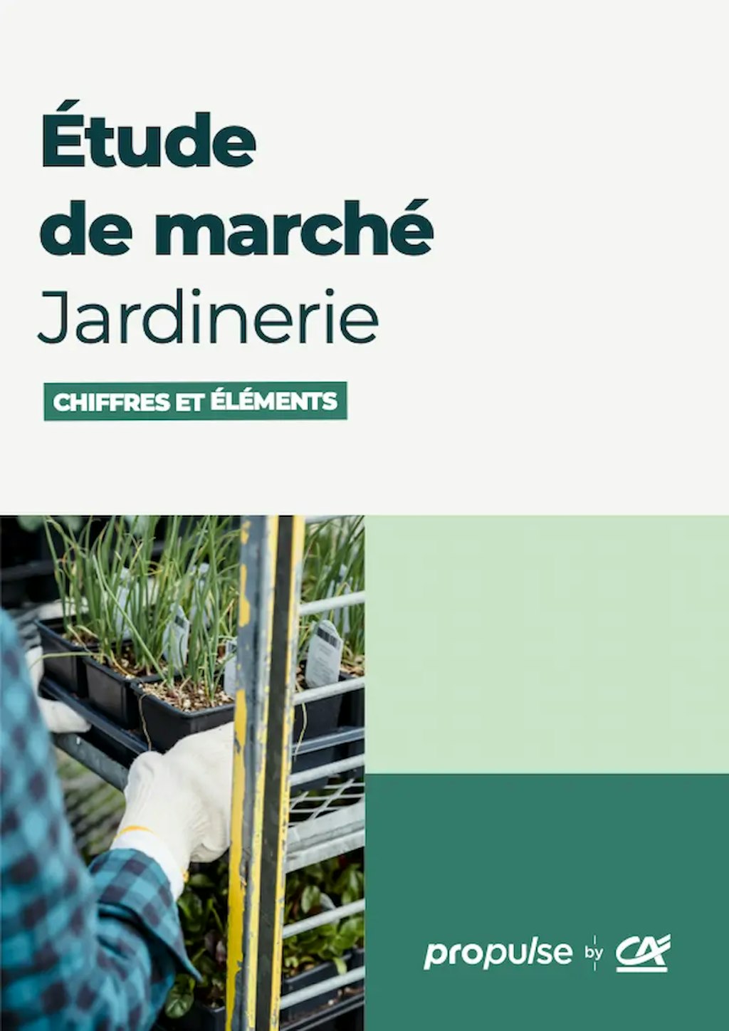 Étude de marché de la jardinerie