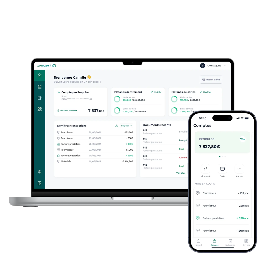 Gestion du compte pro Gestion du compte pro