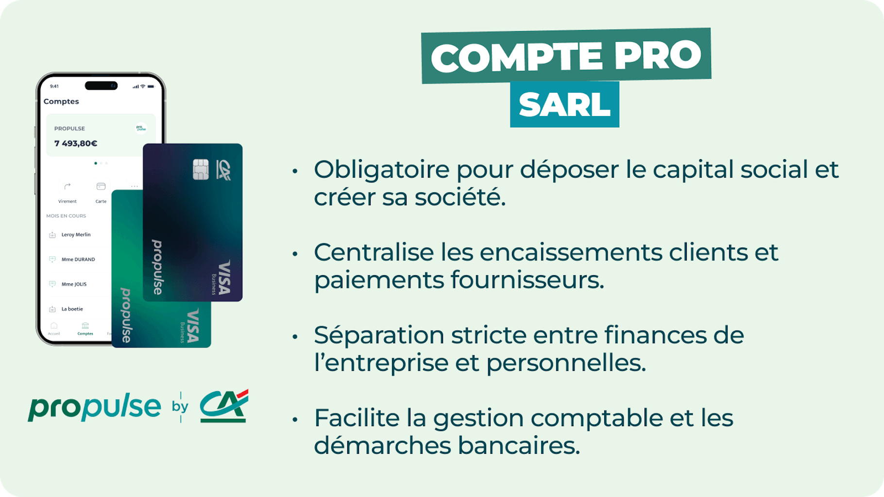 Infographie compte professionnel SARL