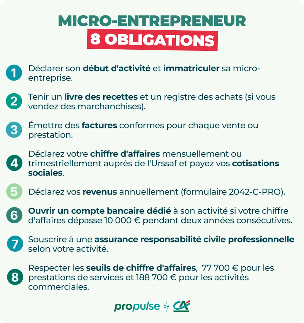 Infographie obligations micro-entreprise