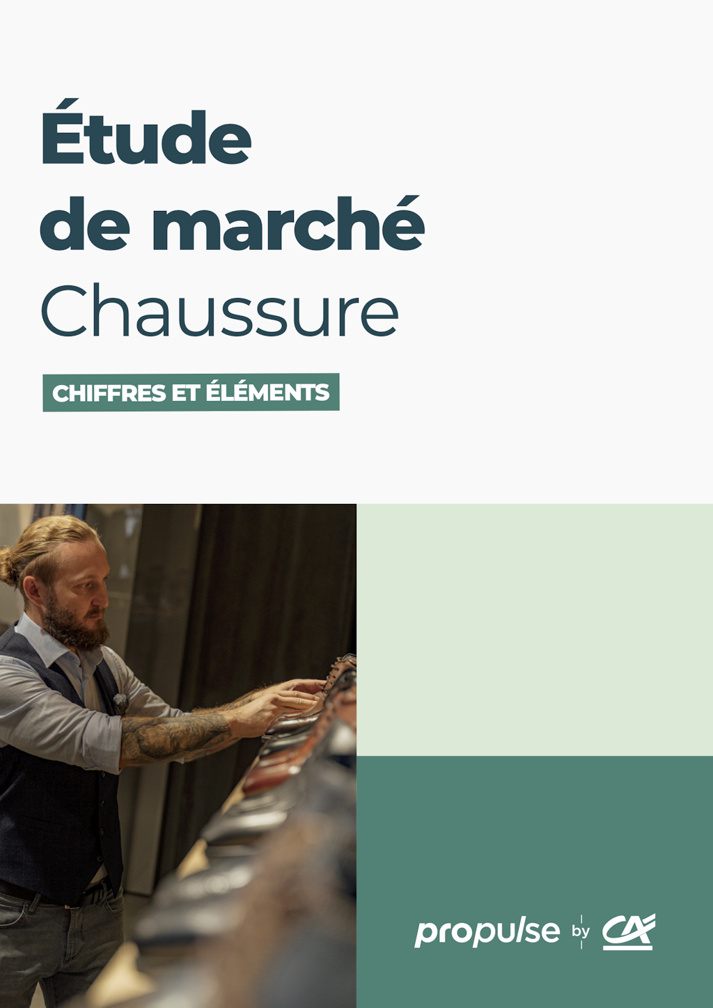Étude de marché de la vente de chaussures couverture