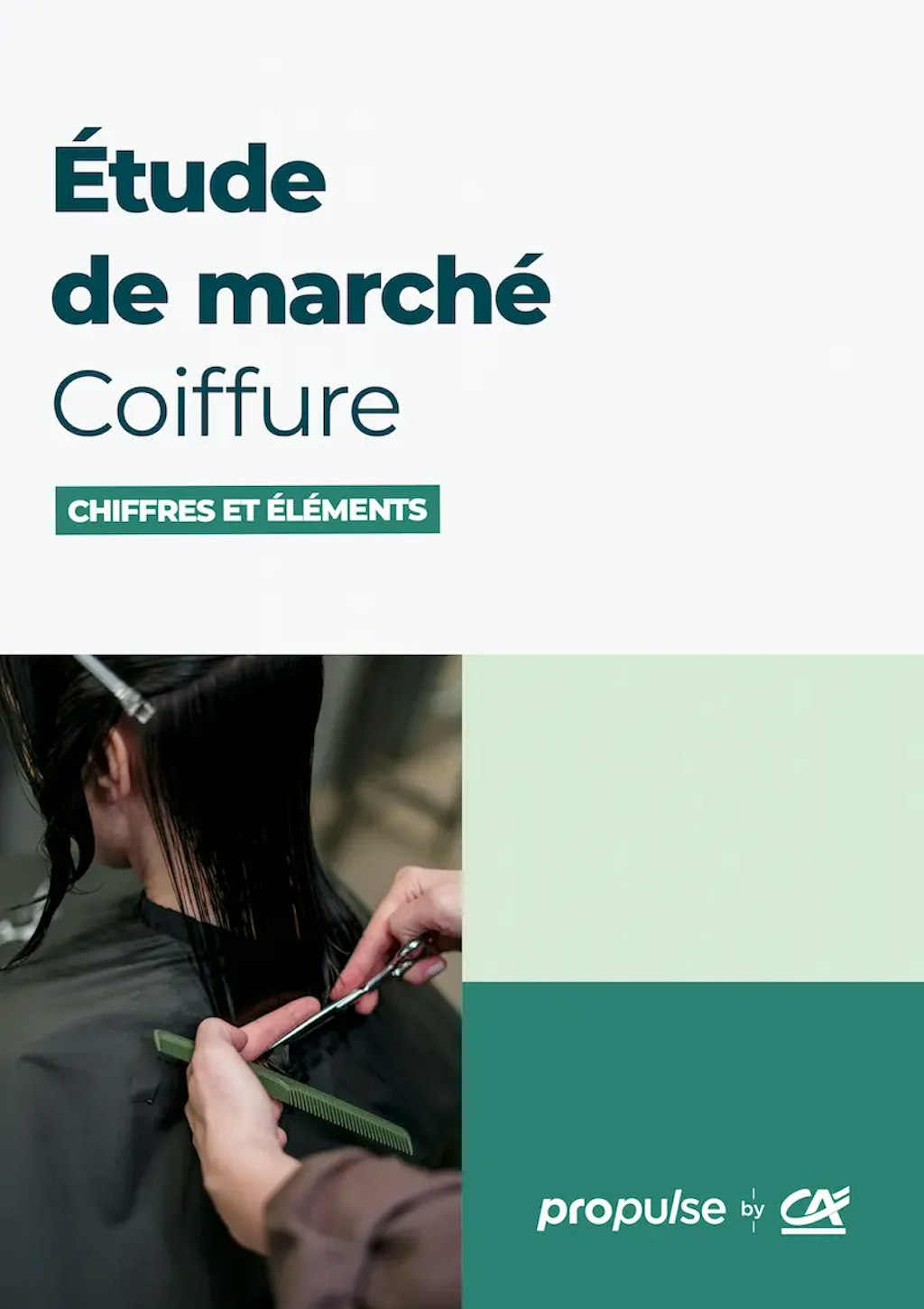 Étude de marché de la coiffure couverture