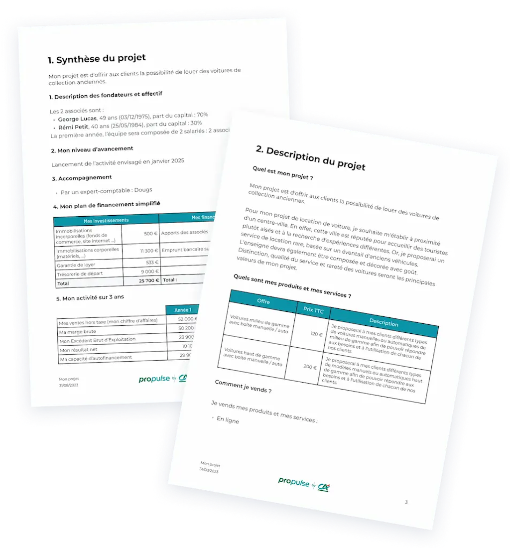 modele business plan