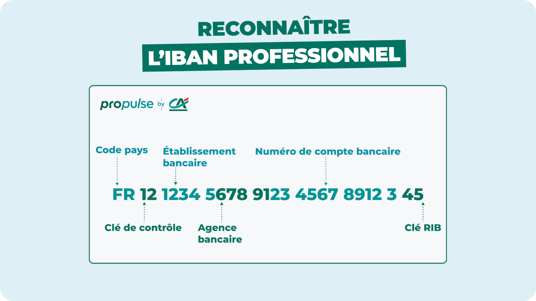 Reconnaître l'IBAN professionnel