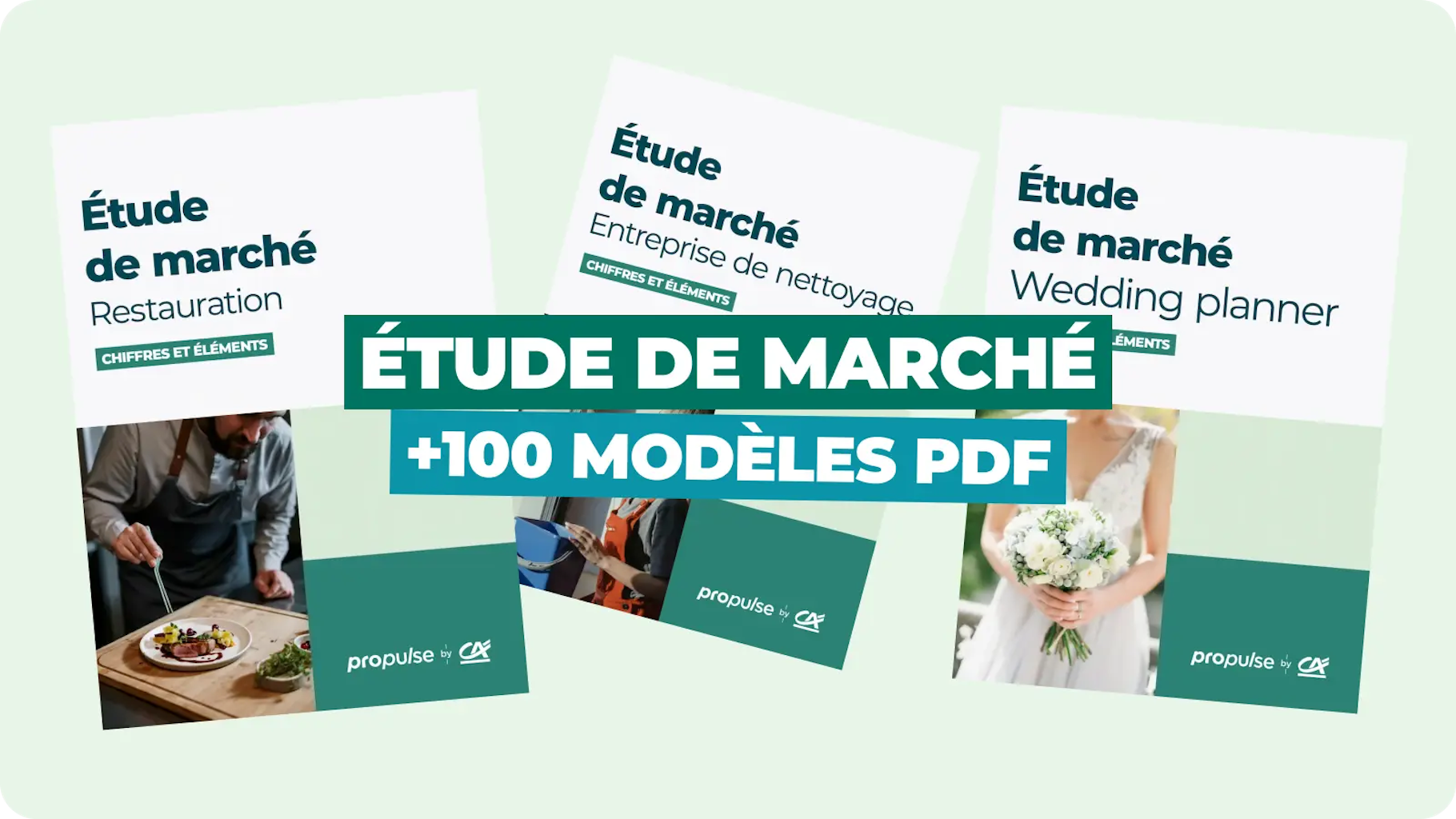 Étude de marché PDF