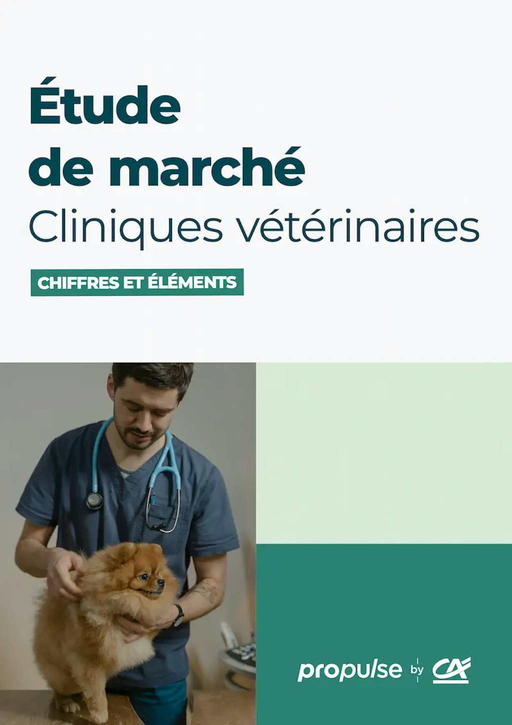 Étude de marché des cliniques vétérinaires PDF