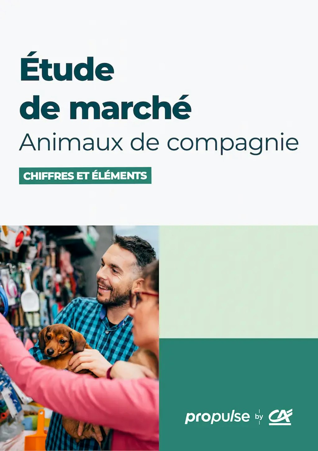 Étude de marché des animaux de compagnie couverture
