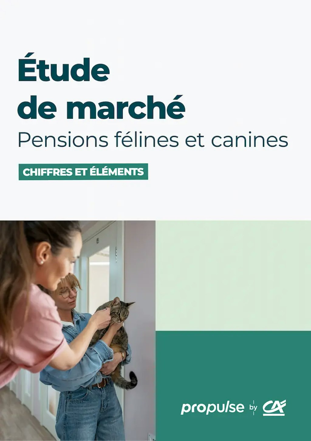 Étude de marché des pensions canines et félines couverture