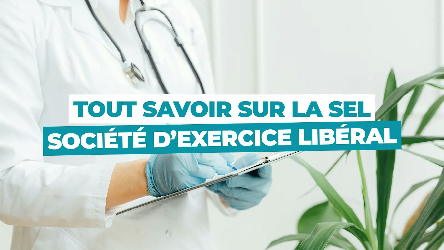 Société d’Exercice Libéral (SEL) Société d’Exercice Libéral (SEL)