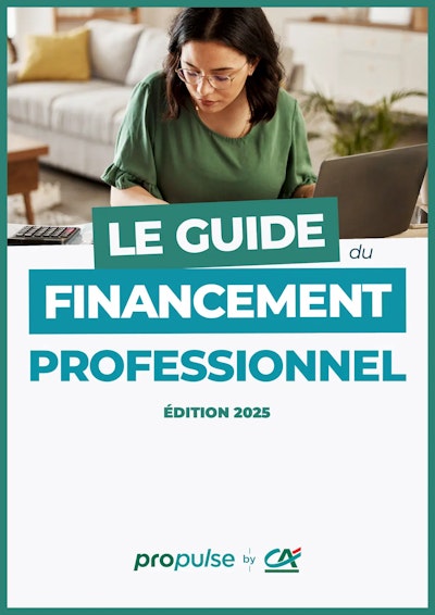 Guide du financement professionnel aperçu