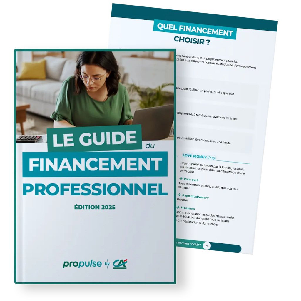 Guide du financement professionnel