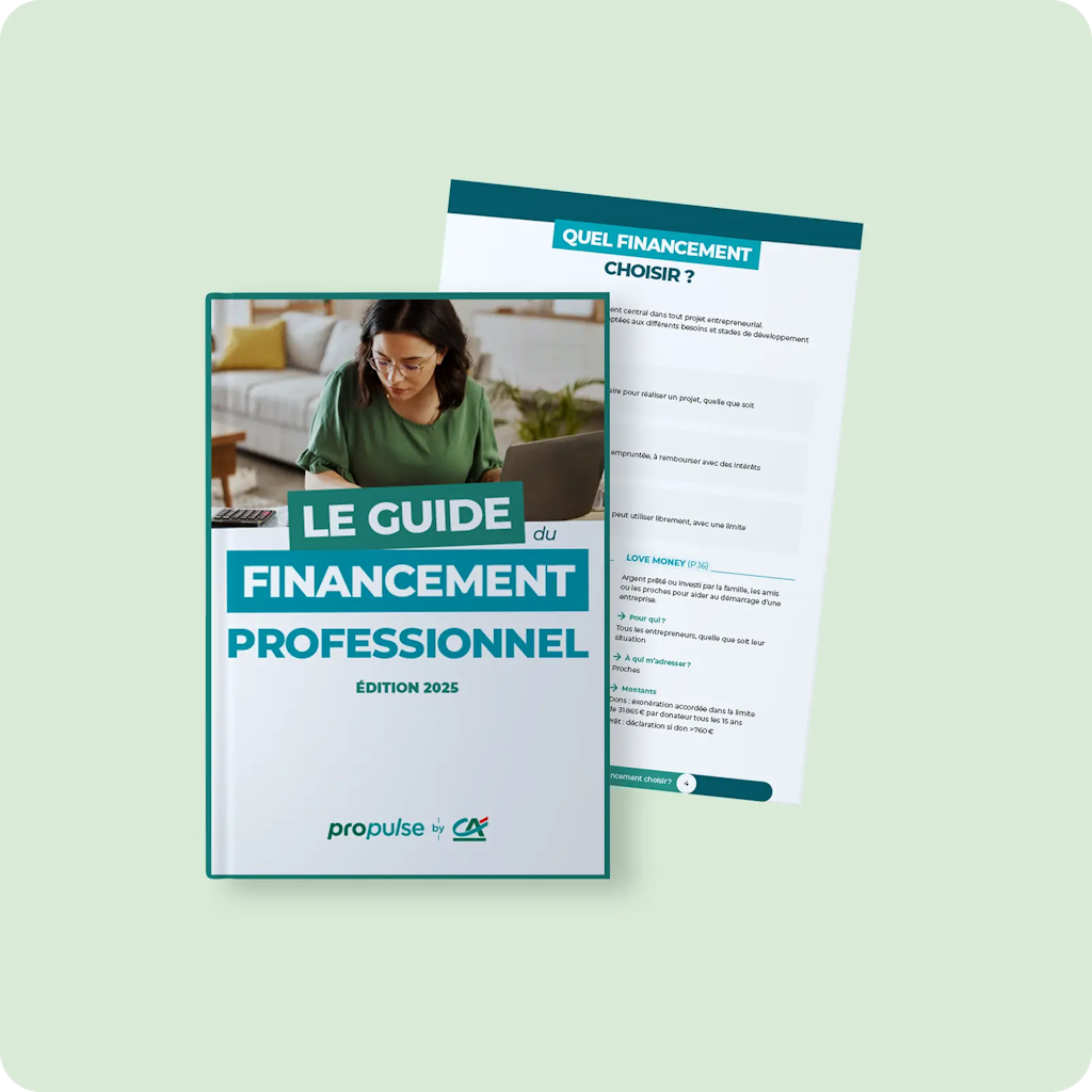 Guide du financement professionnel