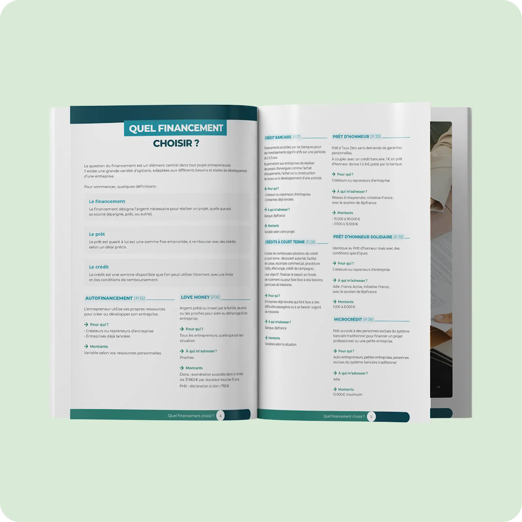 Guide du financement professionnel