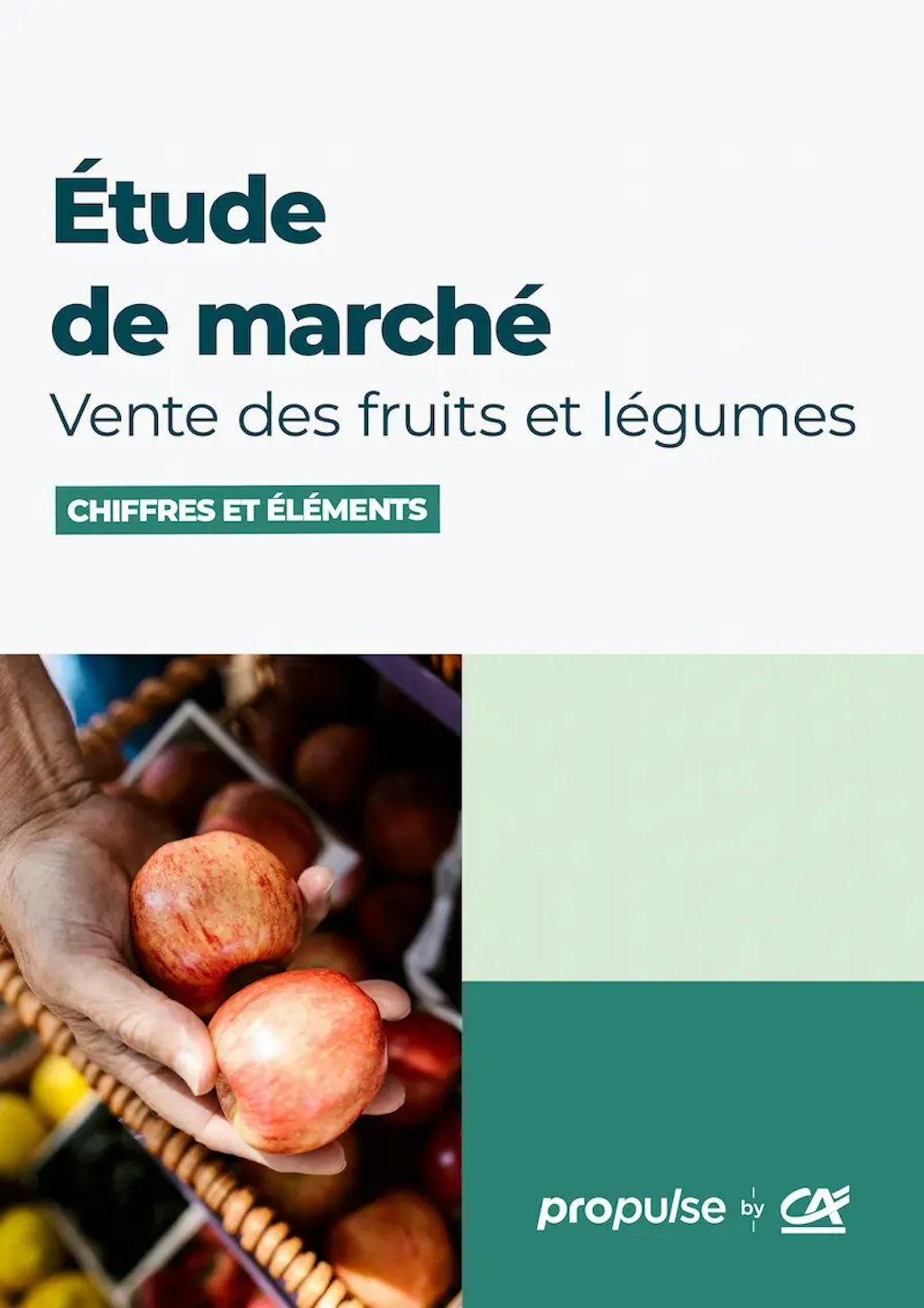 Étude de marché de la vente de fruits et légumes couverture