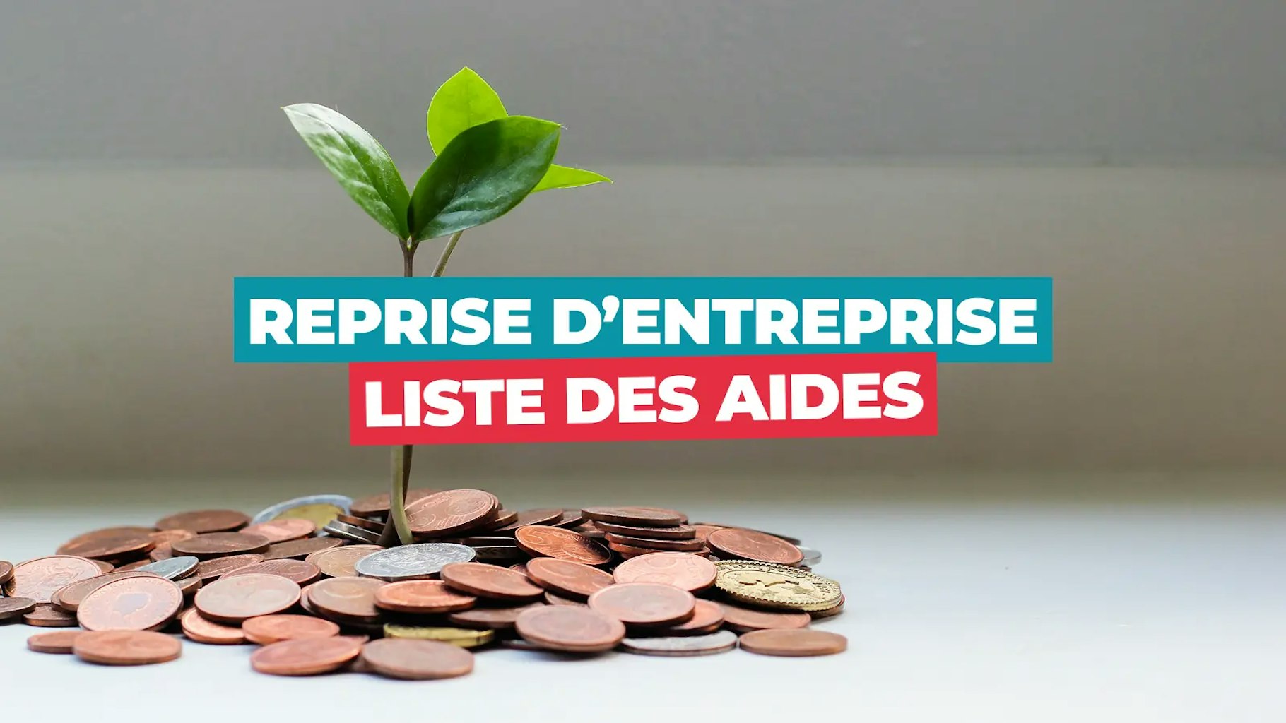 Aides à la reprise d'entreprise
