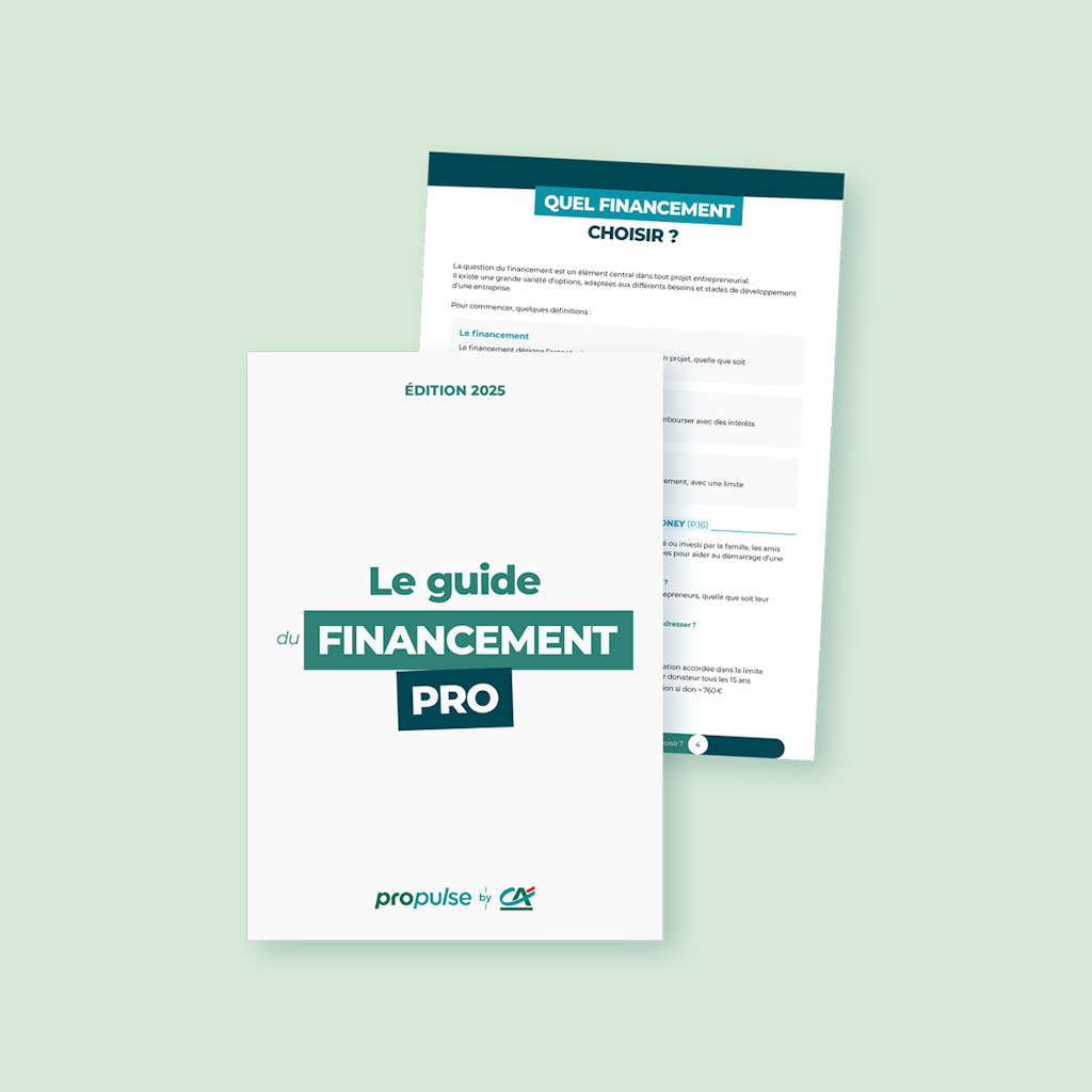 Guide du financement professionnel Guide du financement professionnel