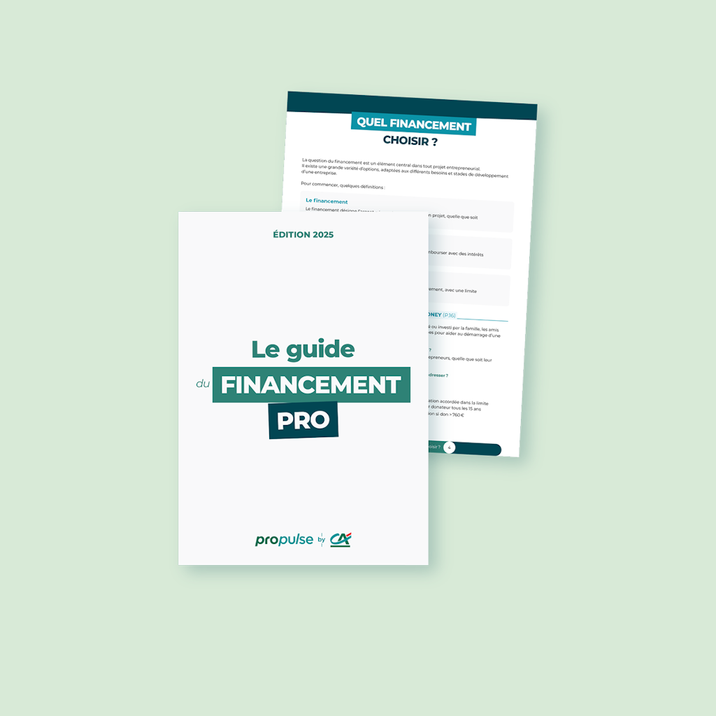Guide du financement professionnel