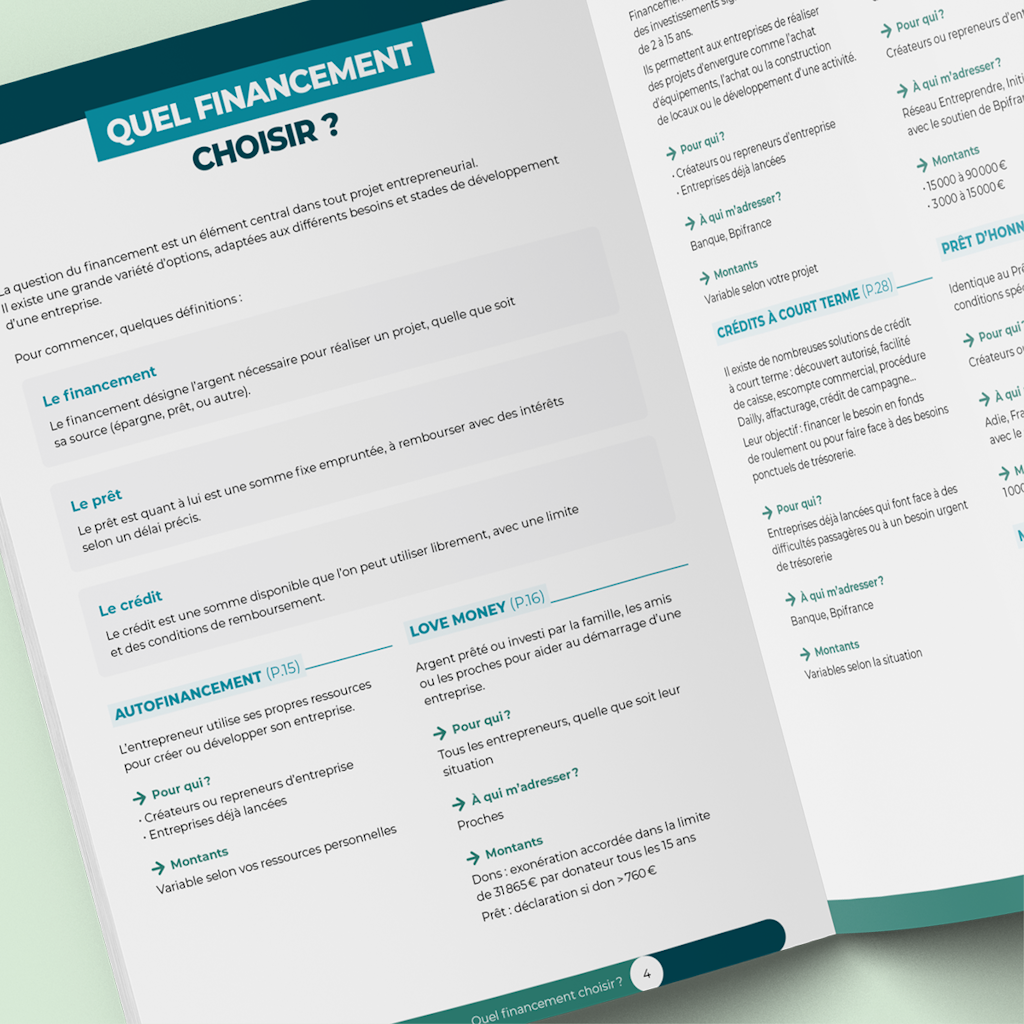 Guide du financement professionnel
