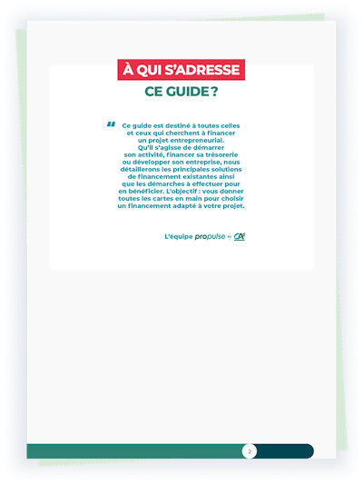 Guide du financement professionnel aperçu