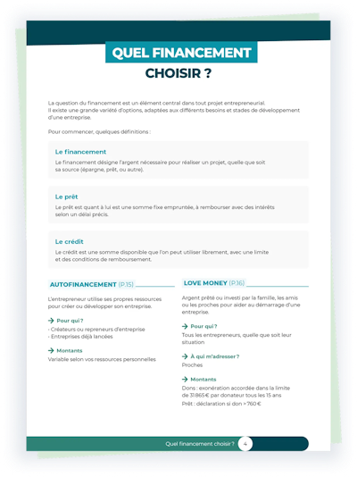 Guide du financement professionnel aperçu