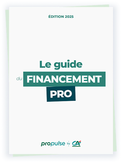 Guide du financement professionnel aperçu