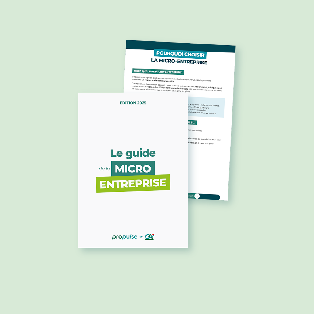 Guide de la micro-entreprise