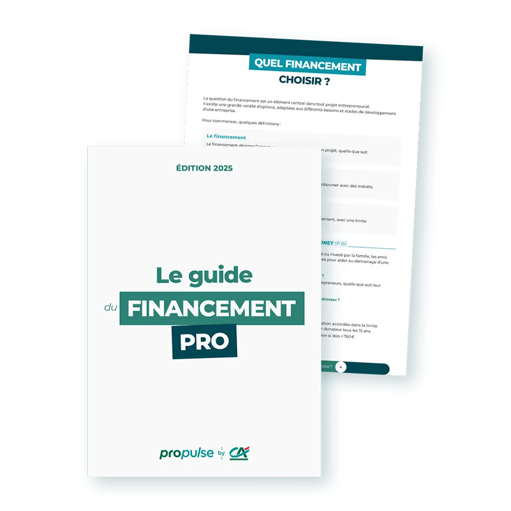 Guide du financement professionnel Guide du financement professionnel