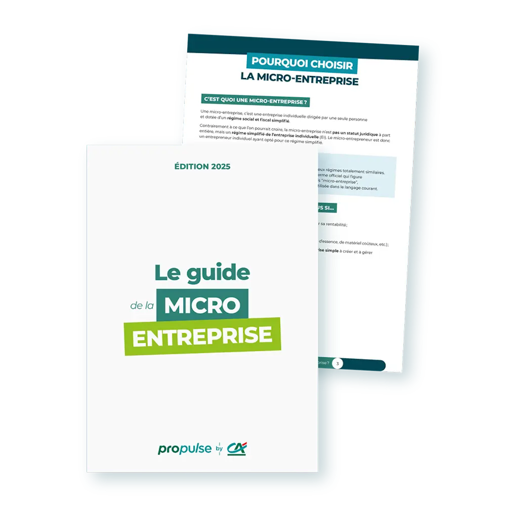 Guide de la micro-entreprise PDF