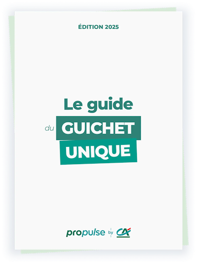 Aperçu guide du Guichet unique 1