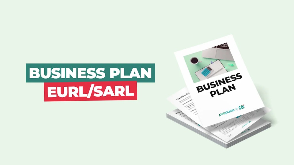 Business Plan EURL / SARL