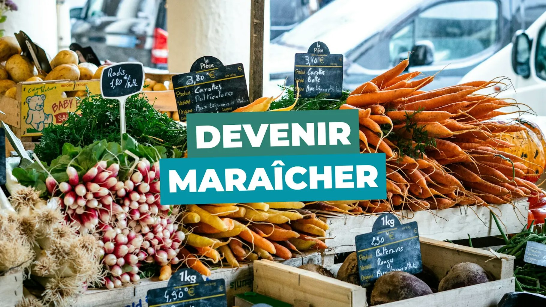 Devenir maraîcher