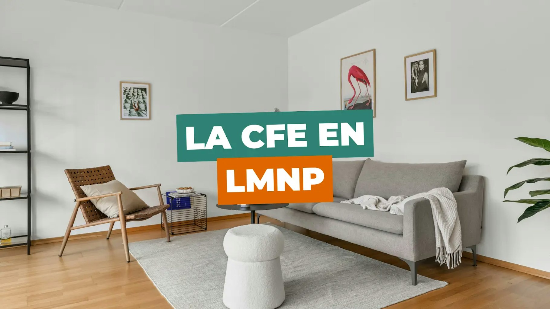 CFE LMNP CFE LMNP