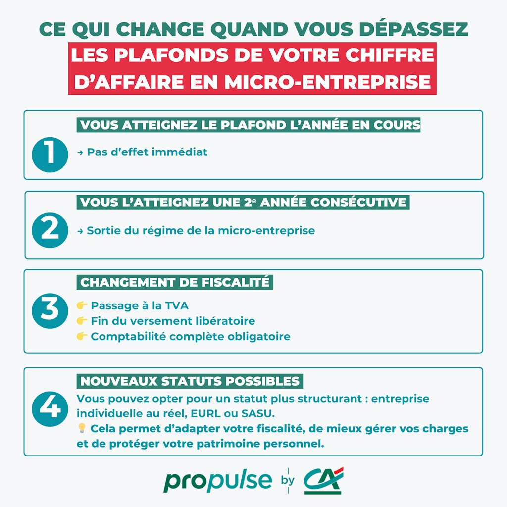 Plafond micro entreprise Plafond micro entreprise