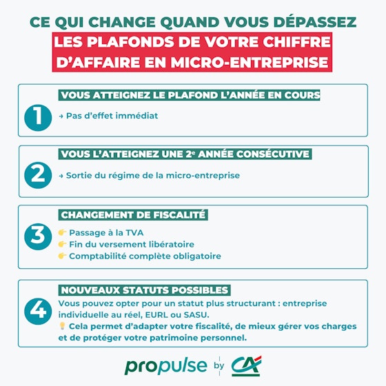 Plafond micro entreprise