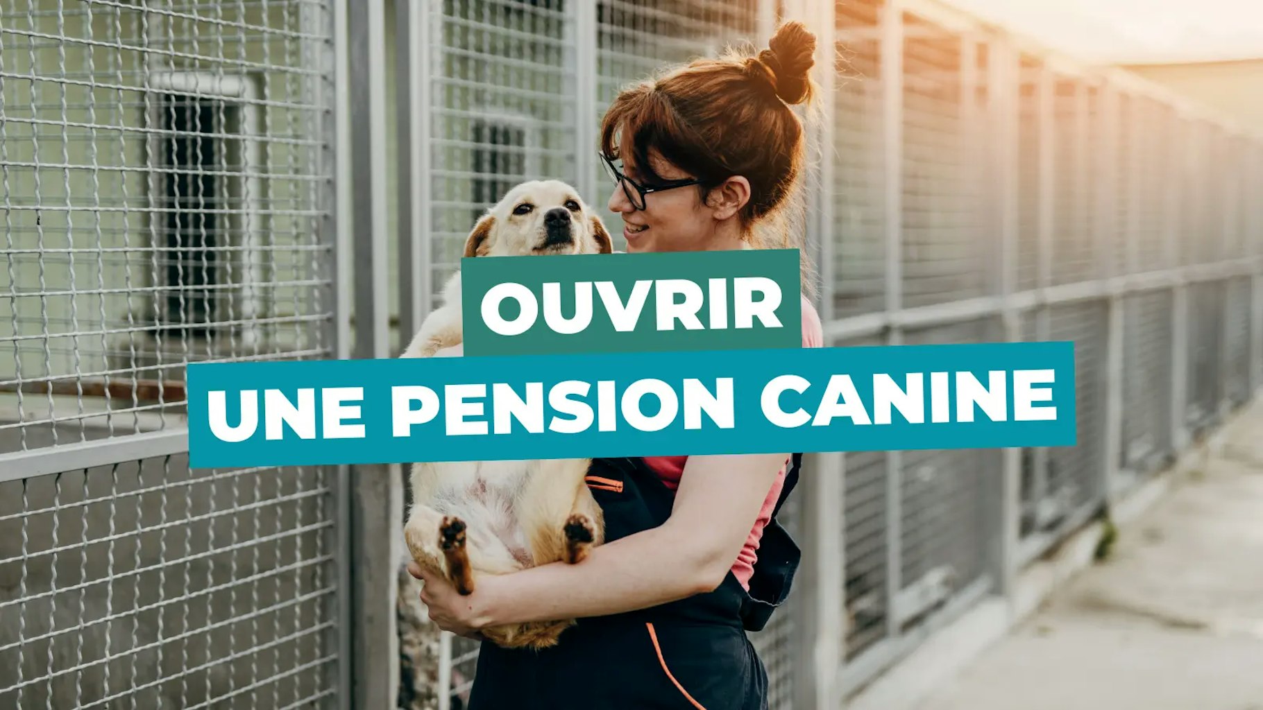 Ouvrir une pension canine Ouvrir une pension canine