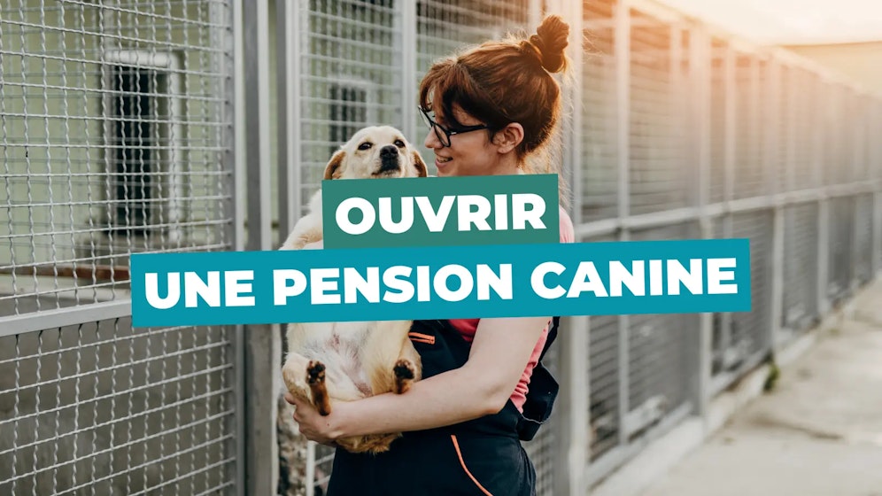 Ouvrir une pension canine