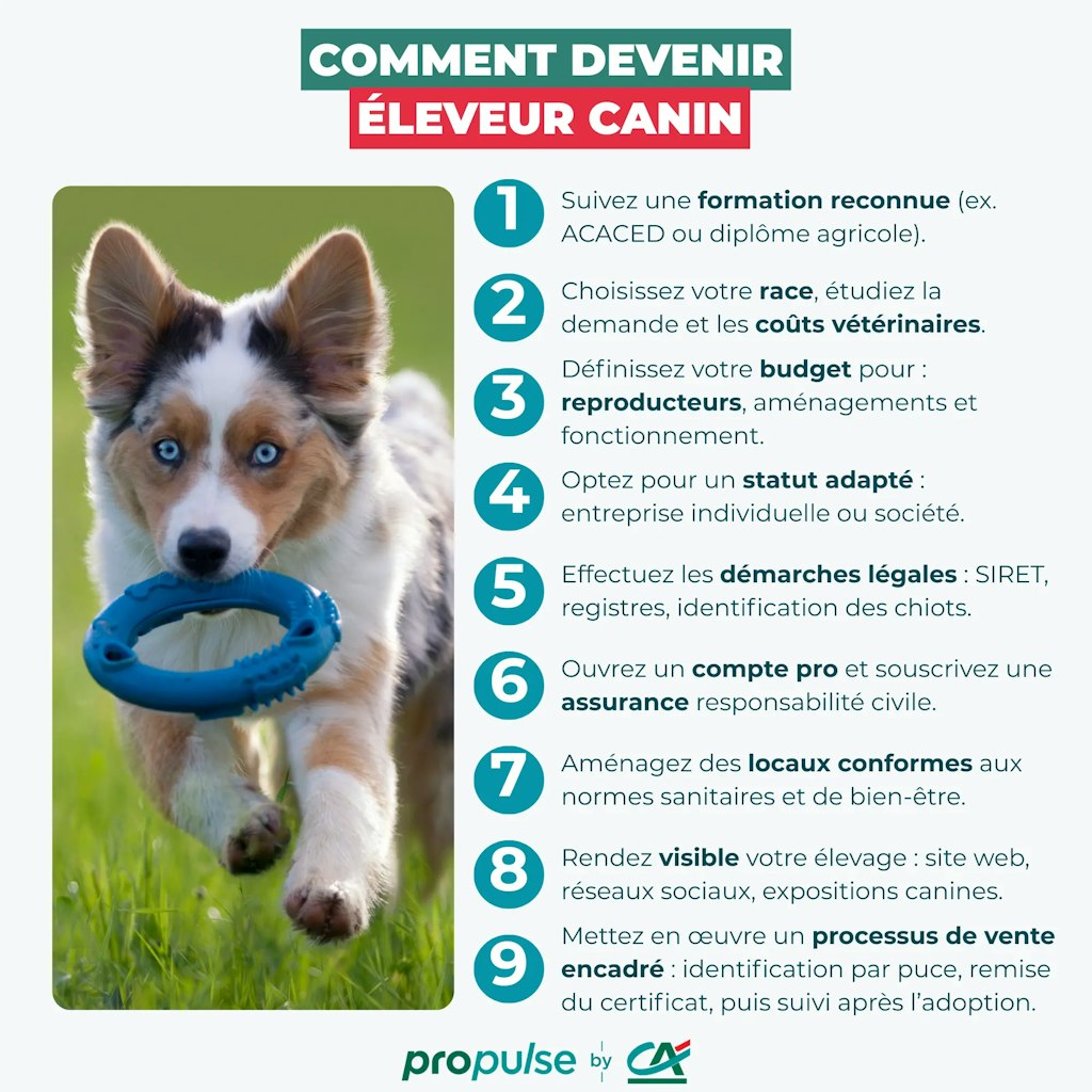 Devenir éleveur canin Devenir éleveur canin