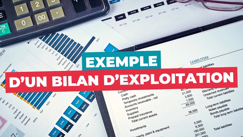 Exemple d'un bilan d'exploitation Exemple d'un bilan d'exploitation