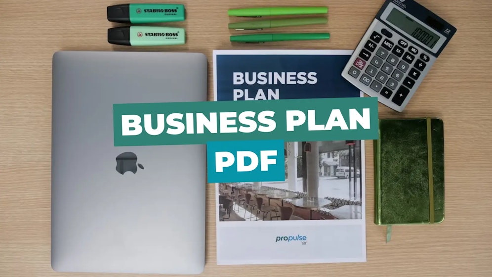 Business Plan PDF