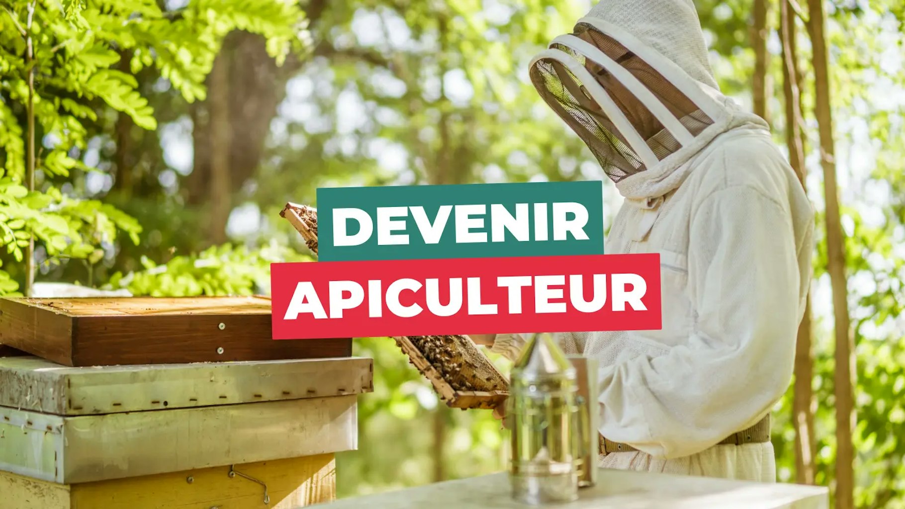 Devenir apiculteur