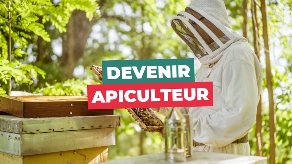 Devenir apiculteur