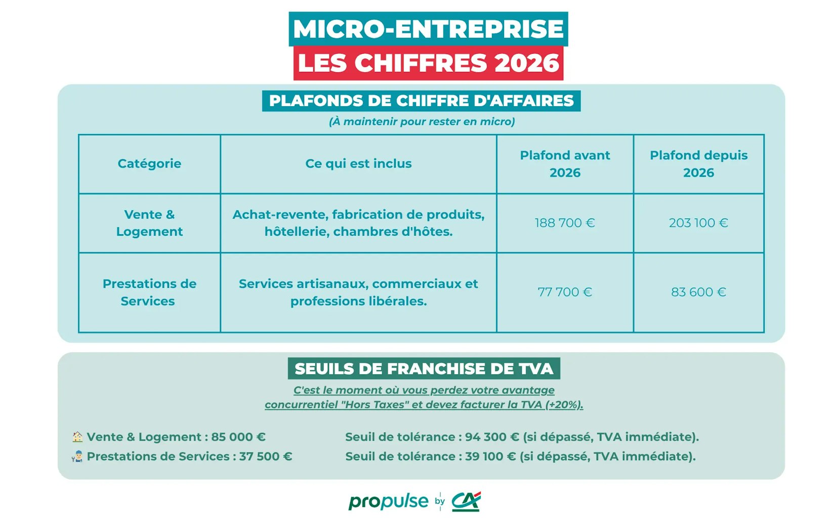 Micro-entreprise Micro-entreprise