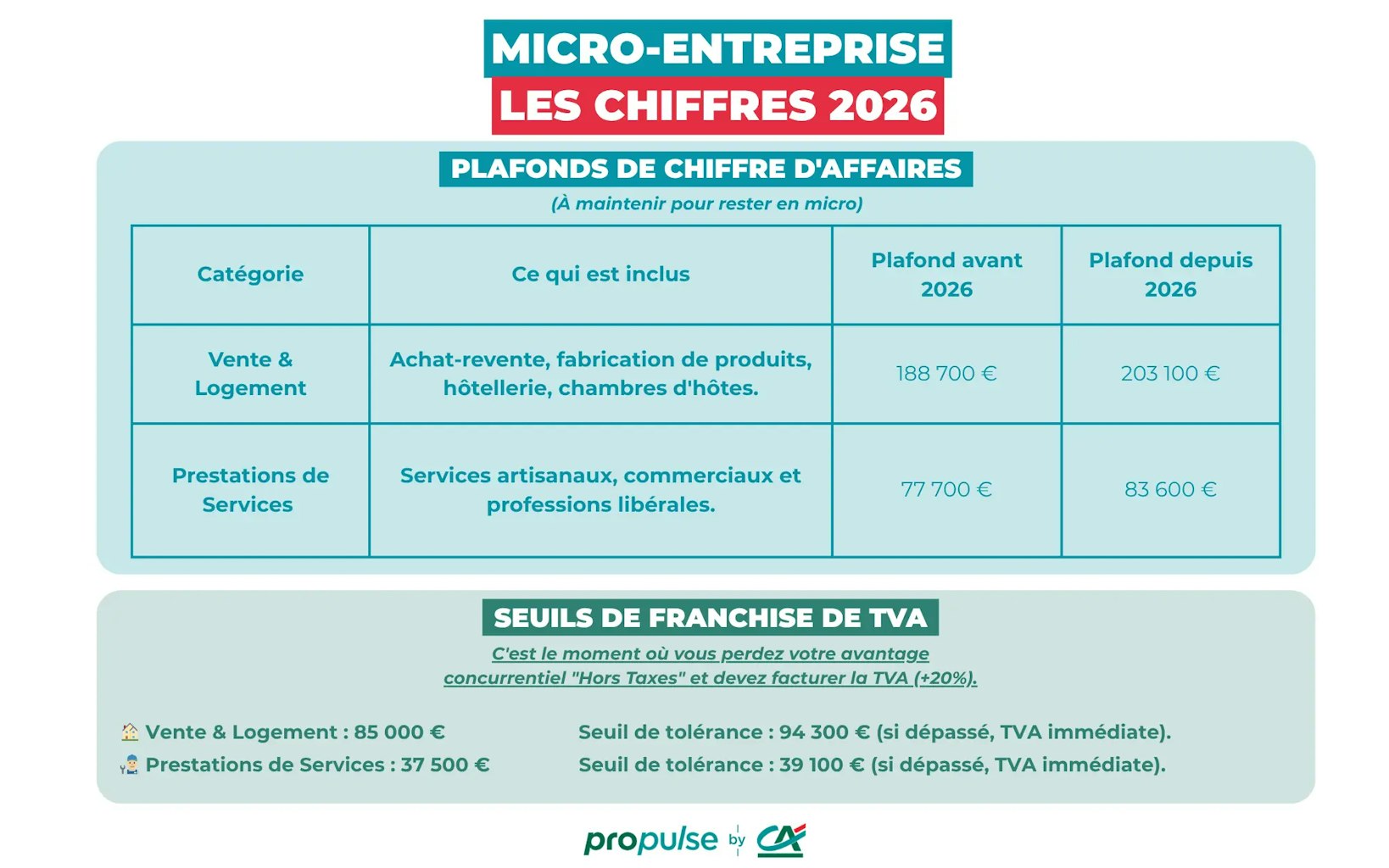 Micro-entreprise
