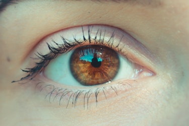 Highlight of two people's eyes.