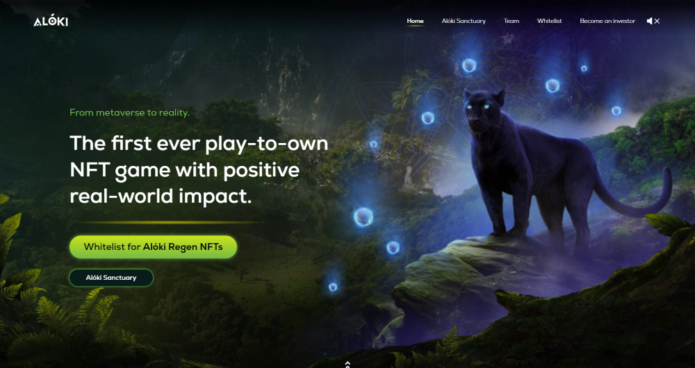 Alóki Website Preview