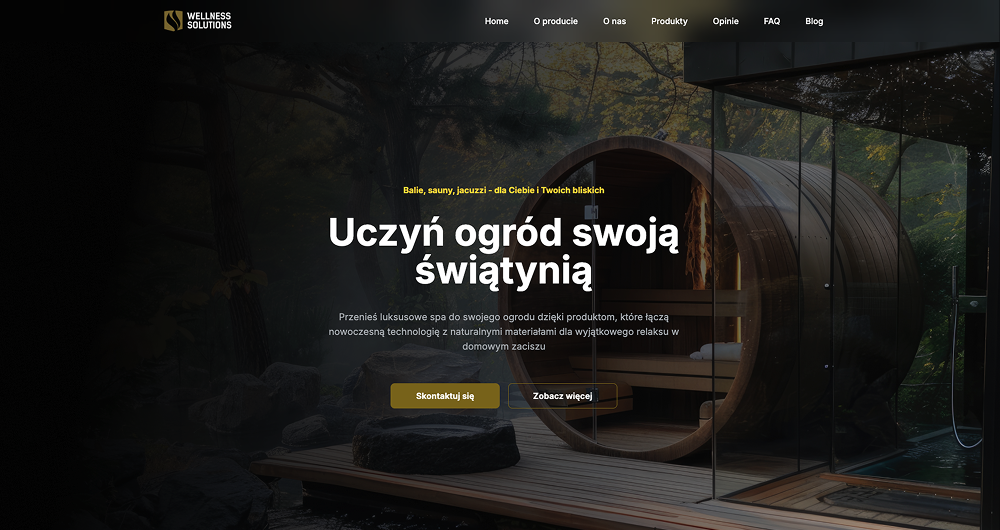 Wellness Solutions Website Preview