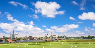 Zaanse schans