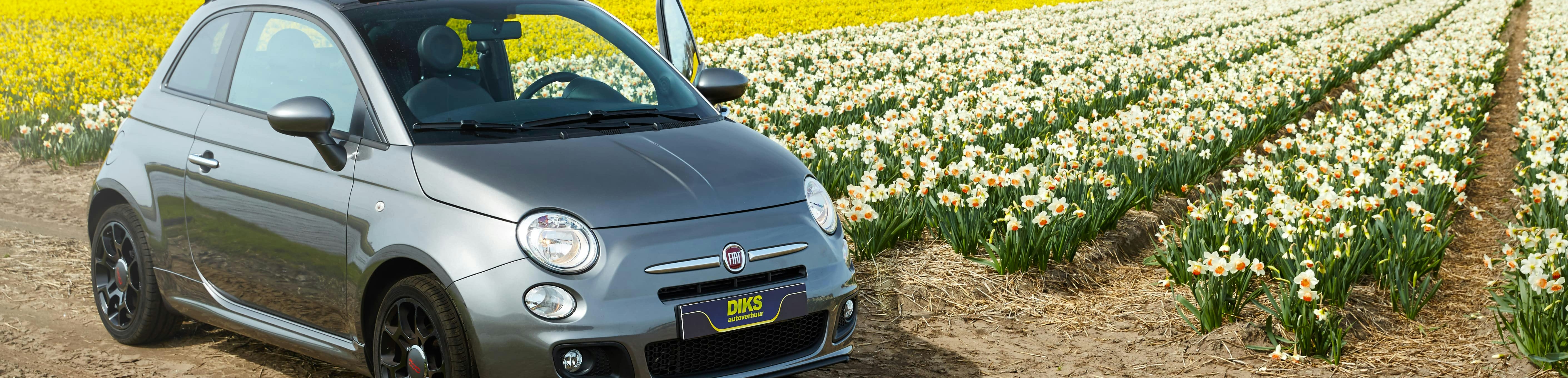 DIKS auto in bollenveld