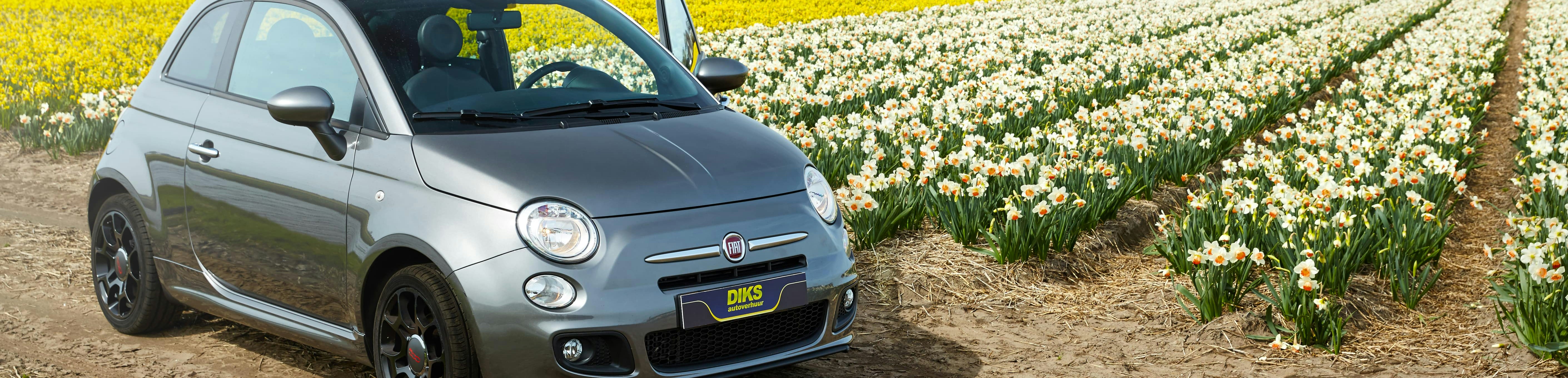 DIKS car in bulb field