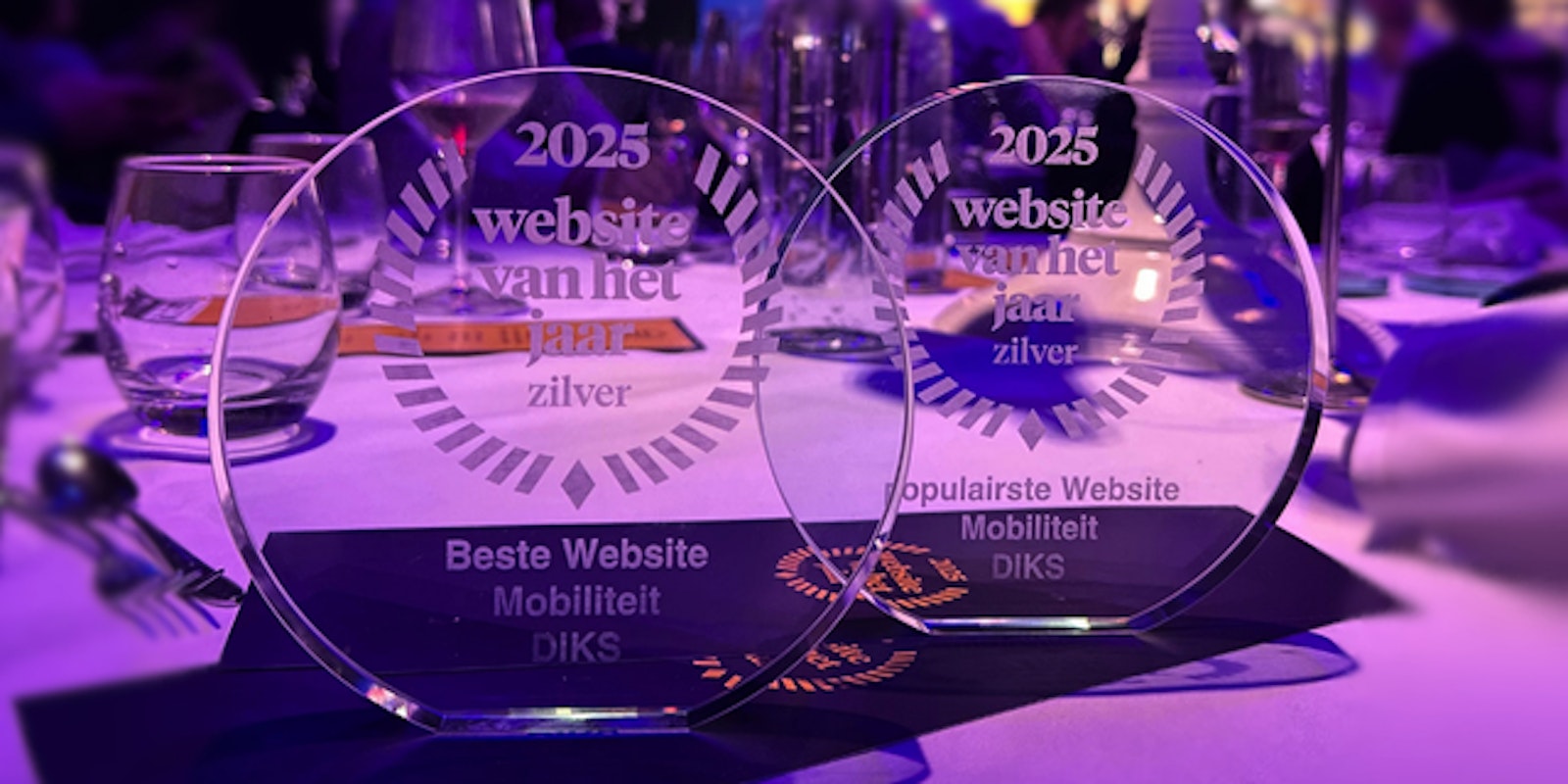 Website van het Jaar 2e prijs